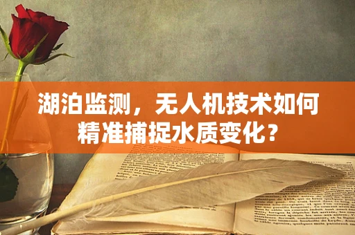 湖泊监测，无人机技术如何精准捕捉水质变化？