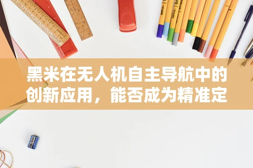 黑米在无人机自主导航中的创新应用，能否成为精准定位的新稻草？