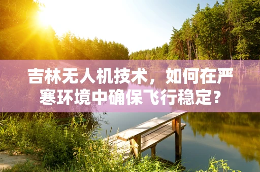 吉林无人机技术，如何在严寒环境中确保飞行稳定？