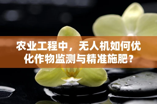 农业工程中，无人机如何优化作物监测与精准施肥？