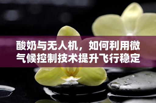 酸奶与无人机，如何利用微气候控制技术提升飞行稳定性？