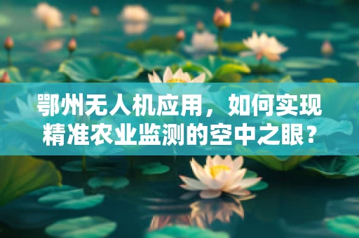 鄂州无人机应用，如何实现精准农业监测的空中之眼？