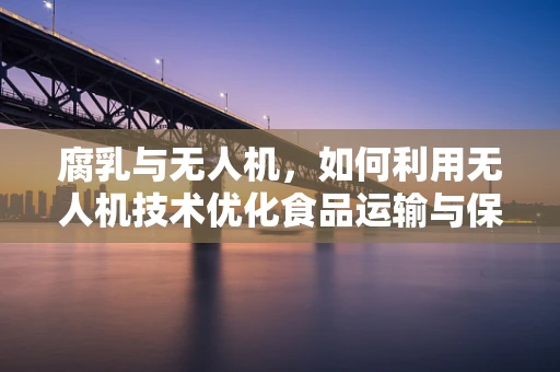 腐乳与无人机，如何利用无人机技术优化食品运输与保鲜？