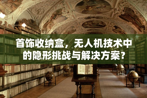 首饰收纳盒，无人机技术中的隐形挑战与解决方案？