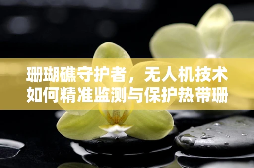 珊瑚礁守护者，无人机技术如何精准监测与保护热带珊瑚？