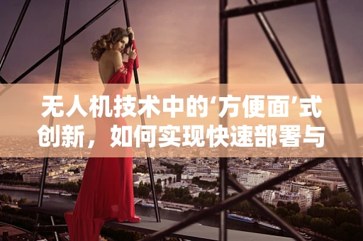 无人机技术中的‘方便面’式创新，如何实现快速部署与自给自足？