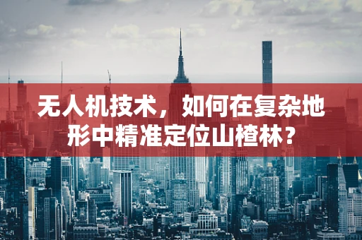 无人机技术，如何在复杂地形中精准定位山楂林？