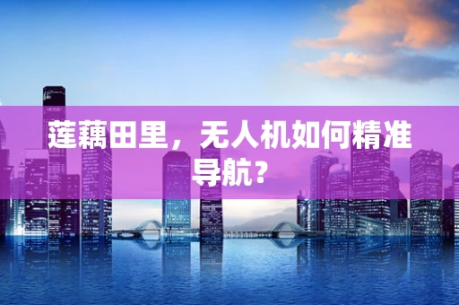 莲藕田里，无人机如何精准导航？
