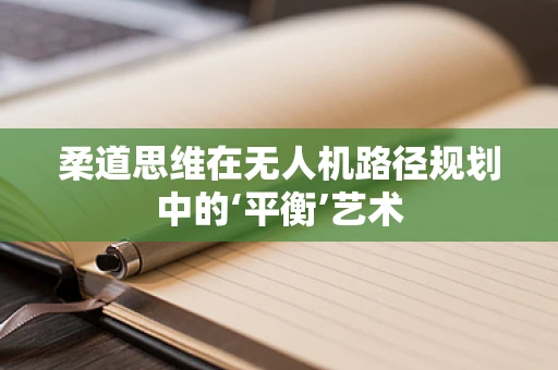 柔道思维在无人机路径规划中的‘平衡’艺术