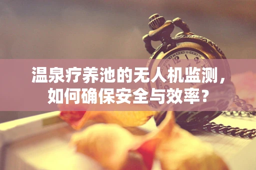 温泉疗养池的无人机监测，如何确保安全与效率？
