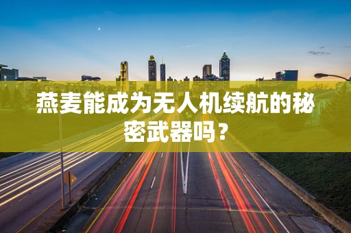 燕麦能成为无人机续航的秘密武器吗？