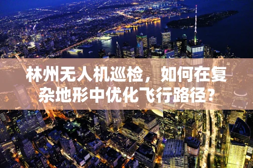 林州无人机巡检，如何在复杂地形中优化飞行路径？