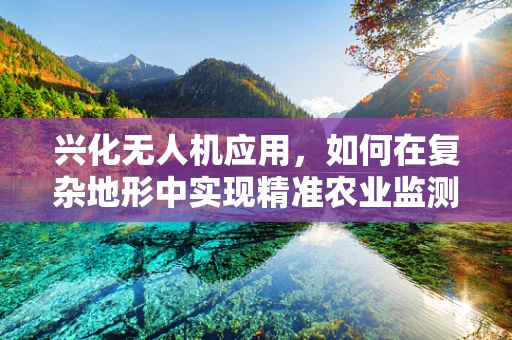 兴化无人机应用，如何在复杂地形中实现精准农业监测？