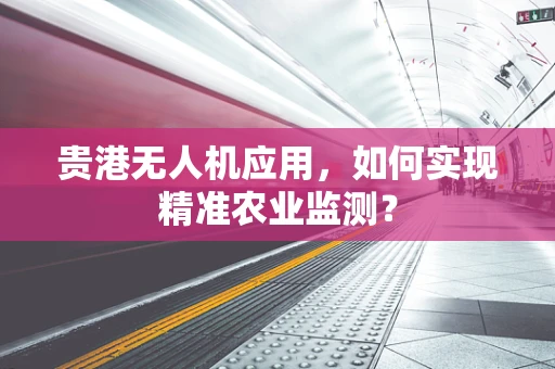 贵港无人机应用，如何实现精准农业监测？