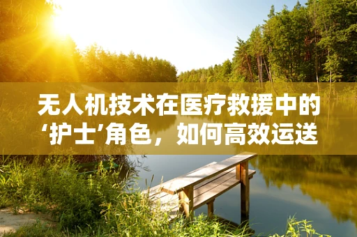 无人机技术在医疗救援中的‘护士’角色，如何高效运送紧急医疗物资？