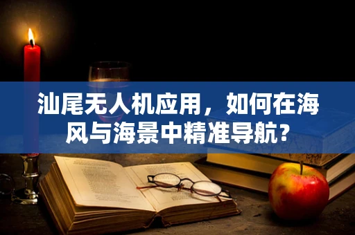 汕尾无人机应用，如何在海风与海景中精准导航？