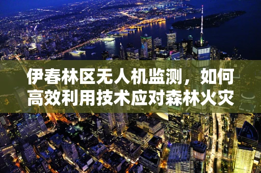 伊春林区无人机监测，如何高效利用技术应对森林火灾风险？