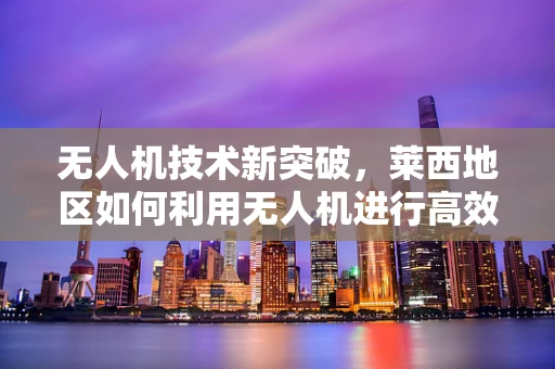 无人机技术新突破，莱西地区如何利用无人机进行高效农业监测？