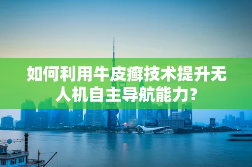 如何利用牛皮癣技术提升无人机自主导航能力？