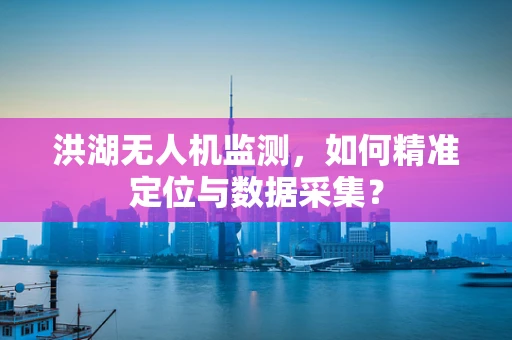 洪湖无人机监测，如何精准定位与数据采集？