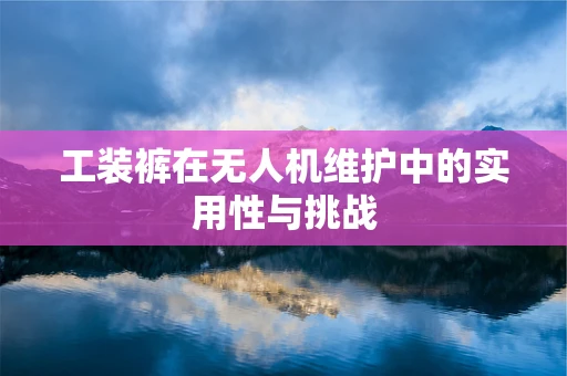 工装裤在无人机维护中的实用性与挑战