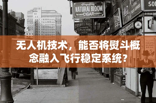 无人机技术，能否将熨斗概念融入飞行稳定系统？