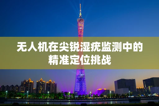 无人机在尖锐湿疣监测中的精准定位挑战