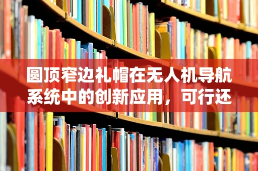 圆顶窄边礼帽在无人机导航系统中的创新应用，可行还是幻想？