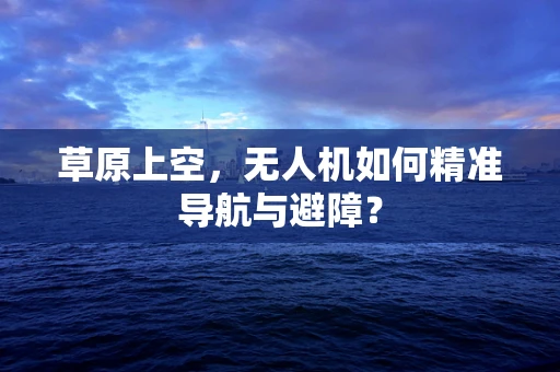 草原上空，无人机如何精准导航与避障？