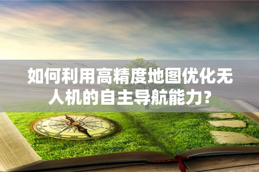 如何利用高精度地图优化无人机的自主导航能力？