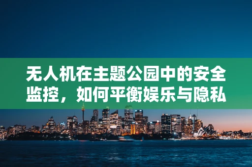 无人机在主题公园中的安全监控，如何平衡娱乐与隐私？