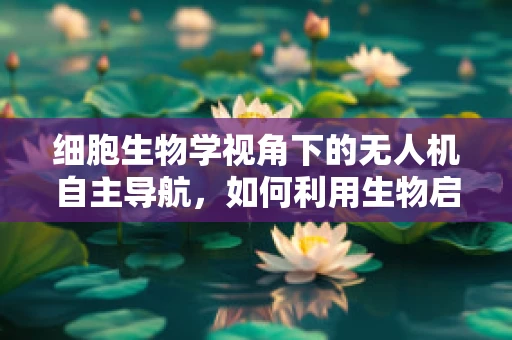 细胞生物学视角下的无人机自主导航，如何利用生物启发算法优化飞行路径？