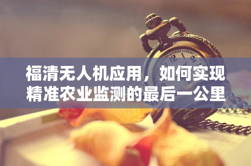 福清无人机应用，如何实现精准农业监测的最后一公里？