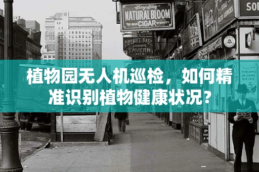 植物园无人机巡检，如何精准识别植物健康状况？
