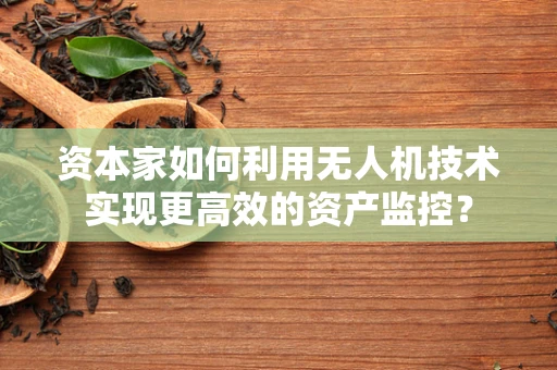 资本家如何利用无人机技术实现更高效的资产监控？