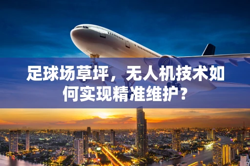 足球场草坪，无人机技术如何实现精准维护？
