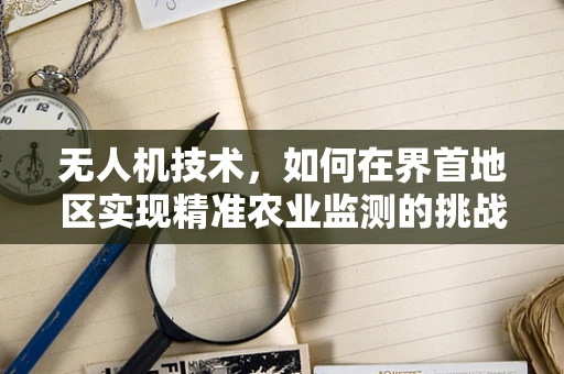 无人机技术，如何在界首地区实现精准农业监测的挑战与策略？
