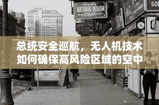 总统安全巡航，无人机技术如何确保高风险区域的空中安全？