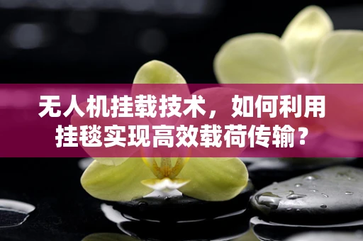 无人机挂载技术，如何利用挂毯实现高效载荷传输？