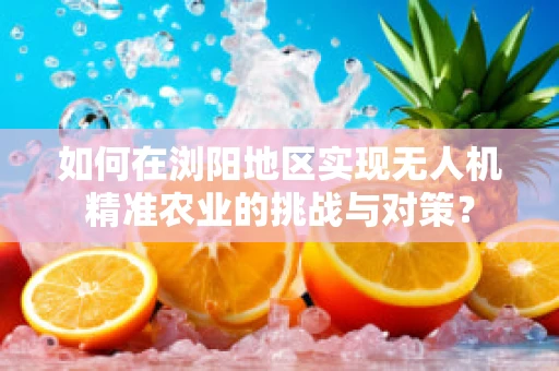 如何在浏阳地区实现无人机精准农业的挑战与对策？