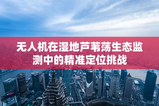 无人机在湿地芦苇荡生态监测中的精准定位挑战