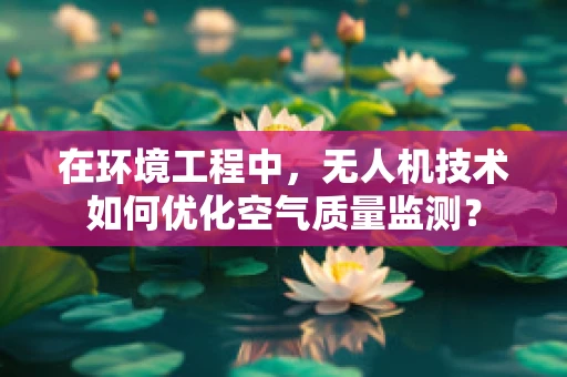 在环境工程中，无人机技术如何优化空气质量监测？