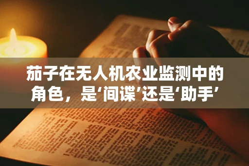 茄子在无人机农业监测中的角色，是‘间谍’还是‘助手’？