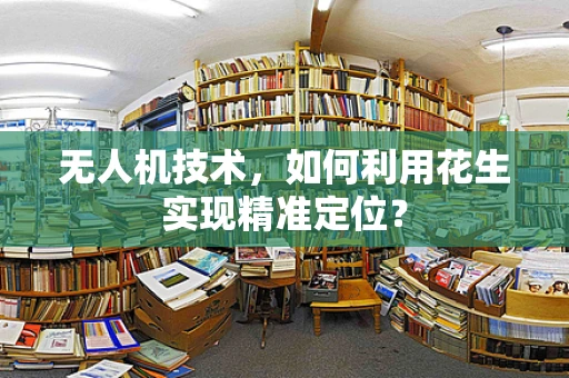 无人机技术，如何利用花生实现精准定位？
