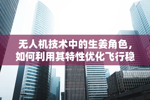 无人机技术中的生姜角色，如何利用其特性优化飞行稳定性？