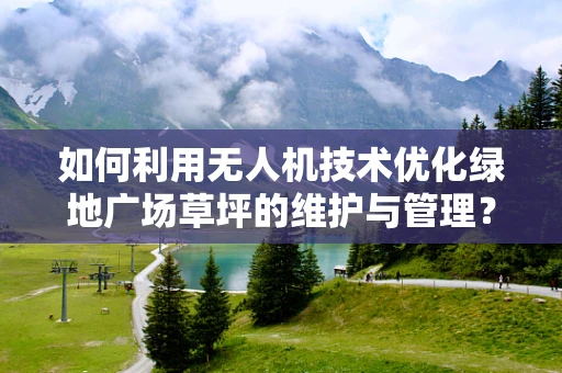 如何利用无人机技术优化绿地广场草坪的维护与管理？