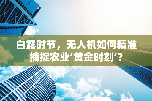 白露时节，无人机如何精准捕捉农业‘黄金时刻’？