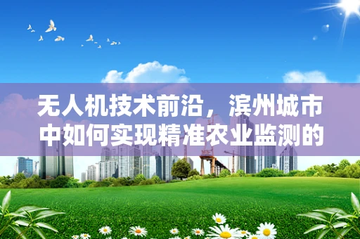 无人机技术前沿，滨州城市中如何实现精准农业监测的挑战与对策？