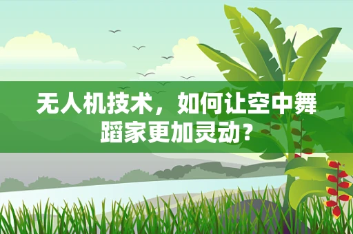 无人机技术，如何让空中舞蹈家更加灵动？