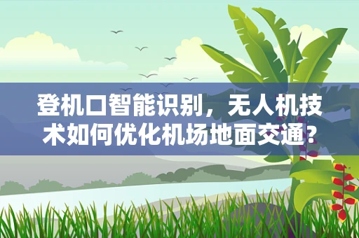 登机口智能识别，无人机技术如何优化机场地面交通？